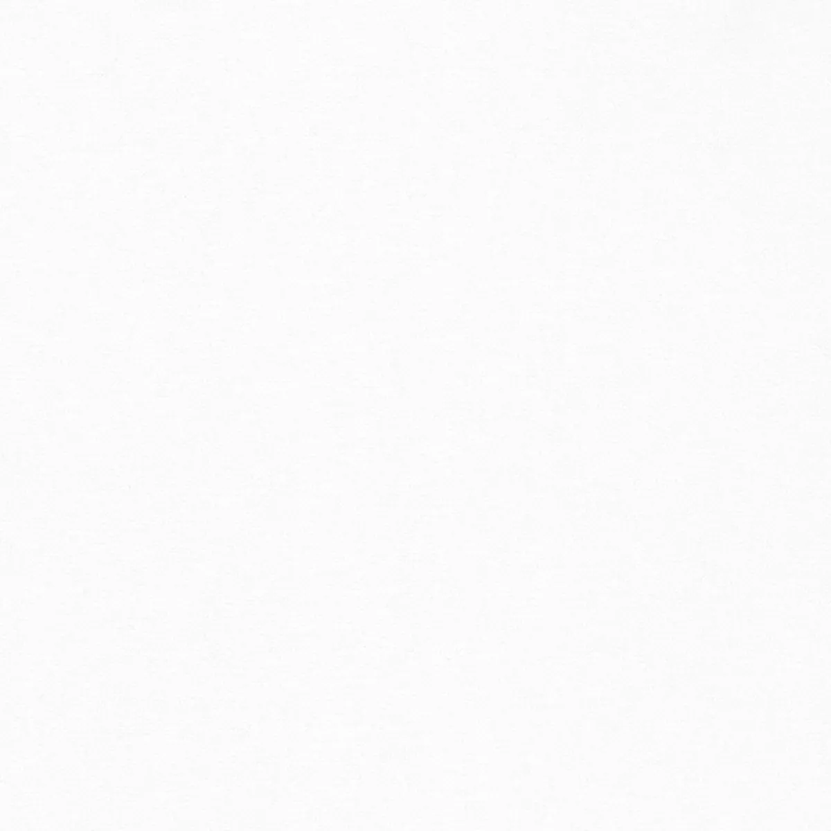 Bimini Blackout - Image 2