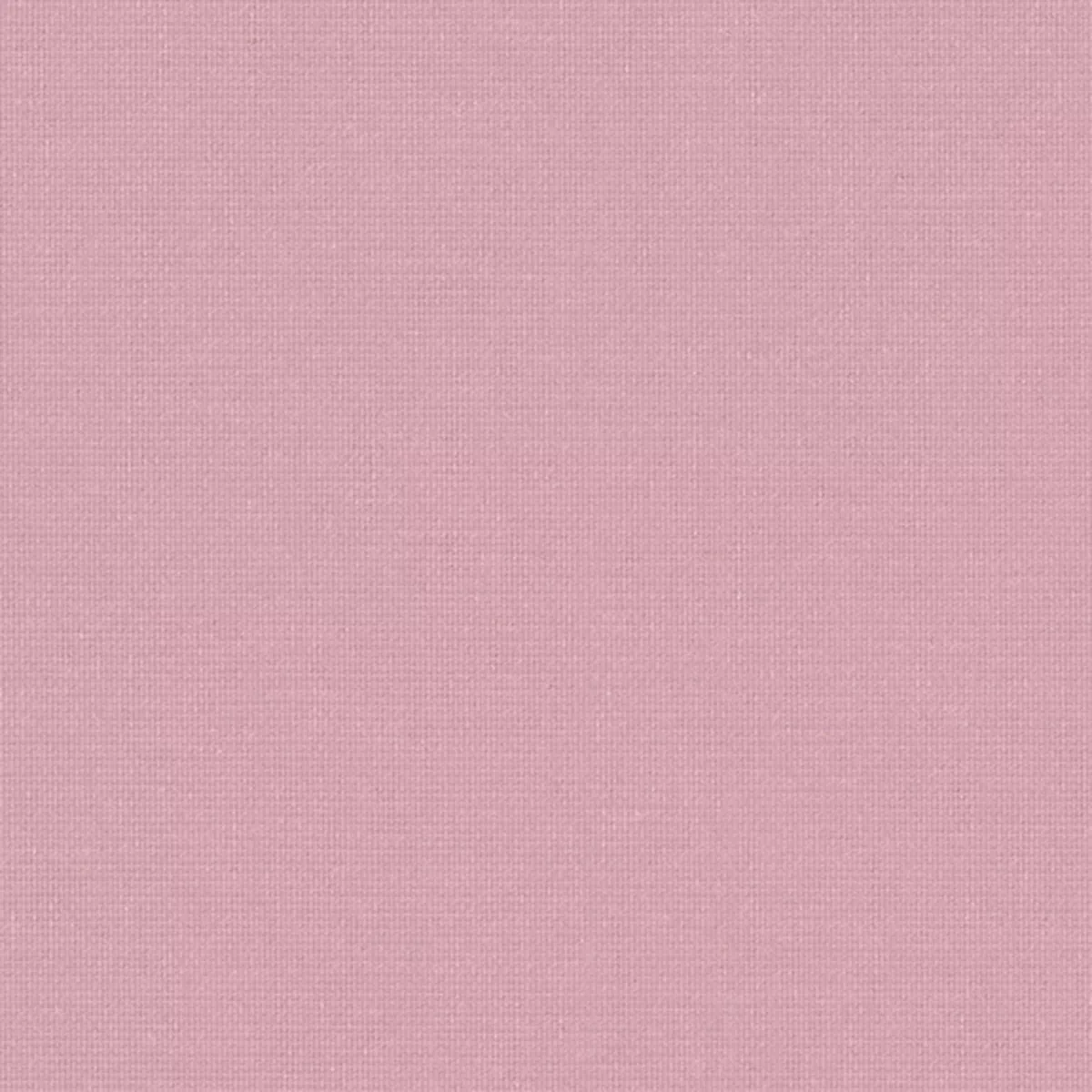 Bimini Vertical - Image 2