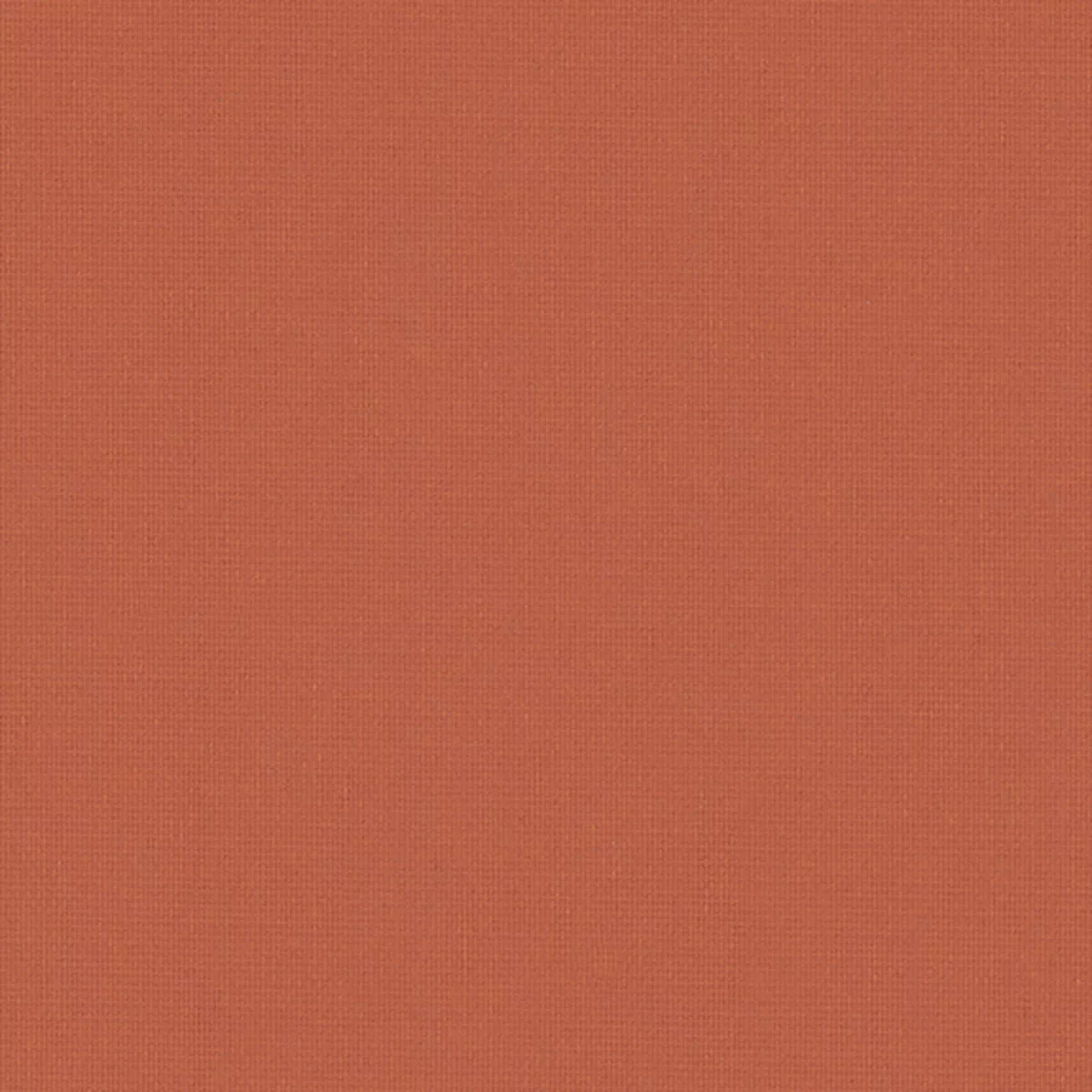 Bimini Vertical - Image 3