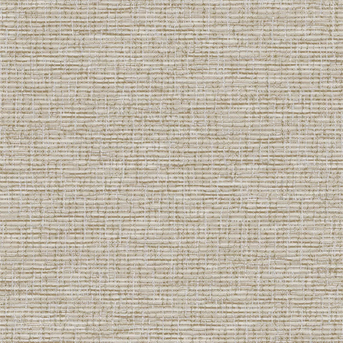 Dakar Blackout - Image 4