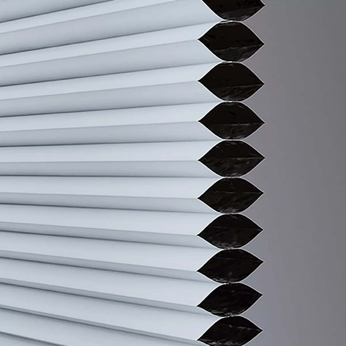 Noite Blackout - Image 3