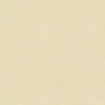 Nolite-Blackout_Ivory