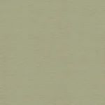 Nolite-Blackout_Oyster