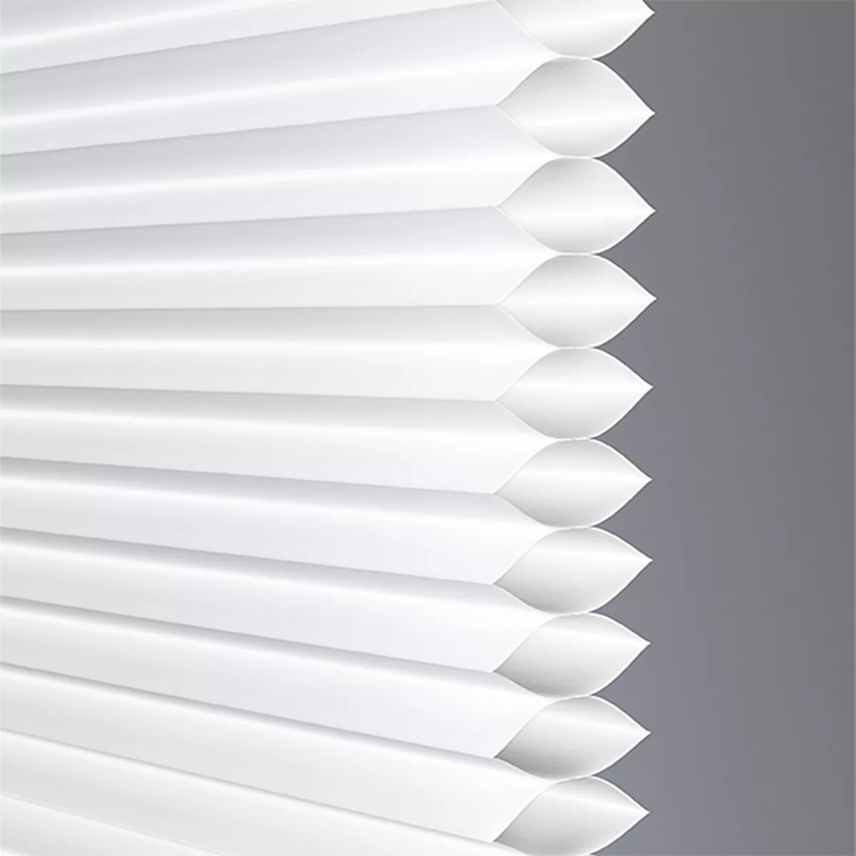 Romance Translucent - Image 4