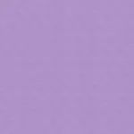 South-Beach-Blackout-Duplex_Lavander