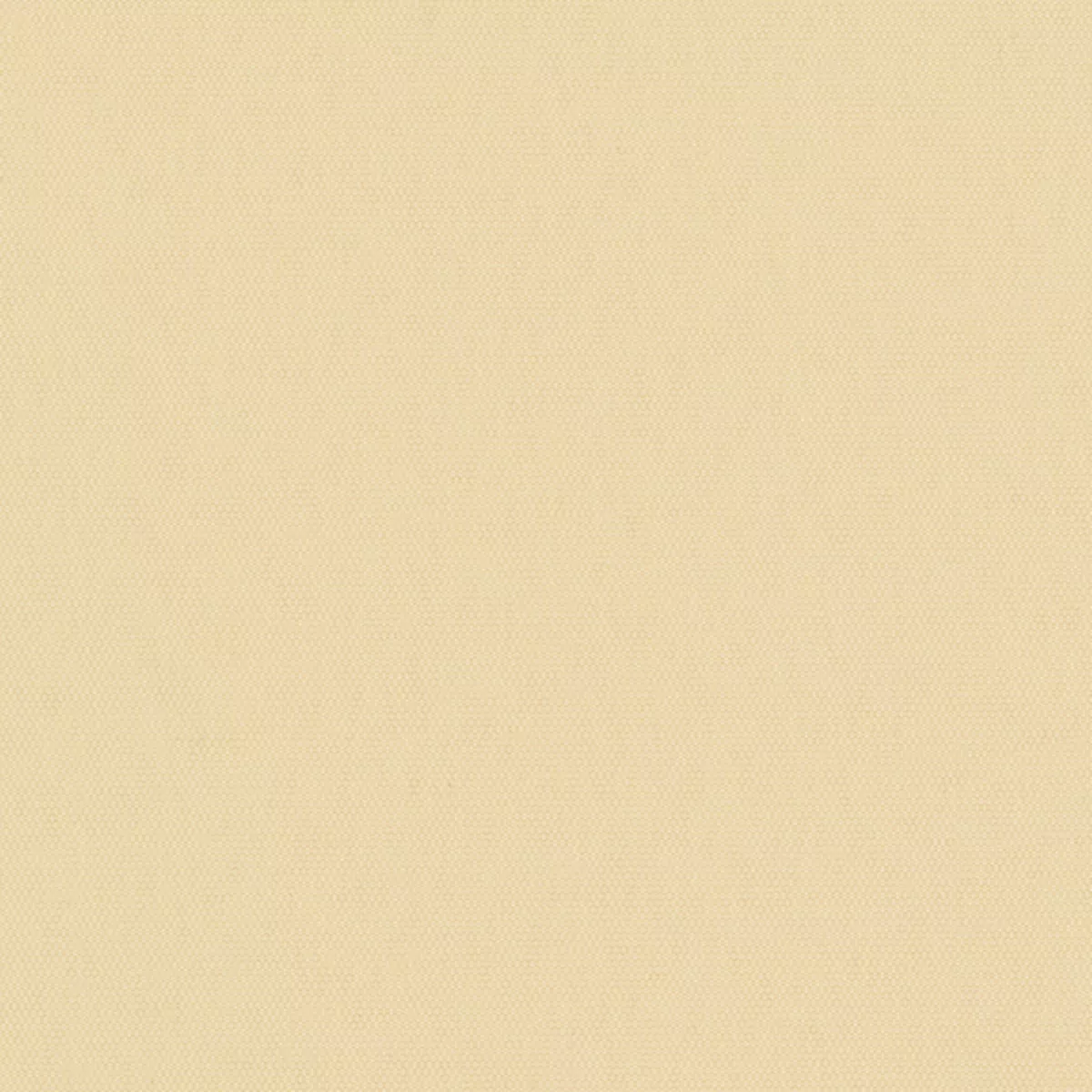 South Beach Vertical - Image 3