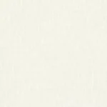 Stucco-Blackout_Off-White